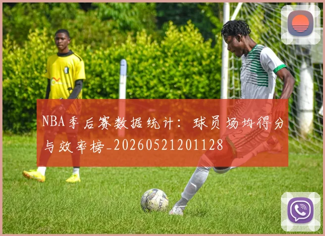 NBA季后赛数据统计：球员场均得分与效率榜_20260521201128