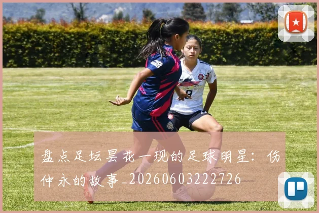 盘点足坛昙花一现的足球明星:伤仲永的故事_20260603222726