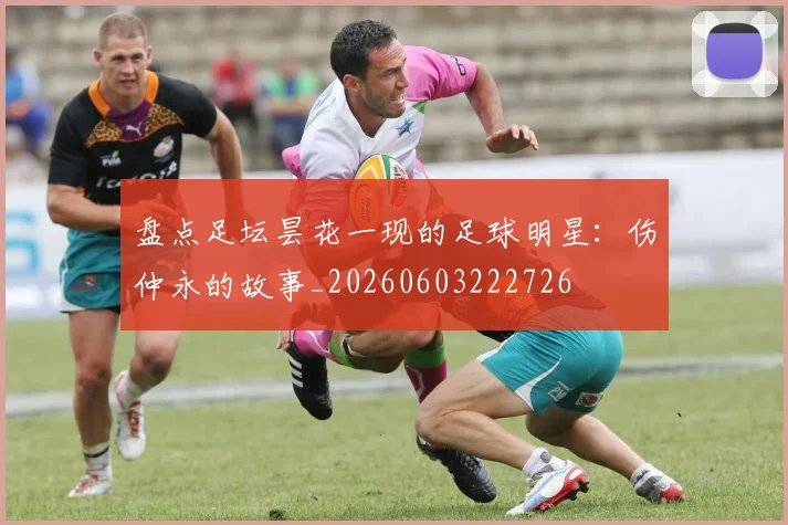 盘点足坛昙花一现的足球明星:伤仲永的故事_20260603222726